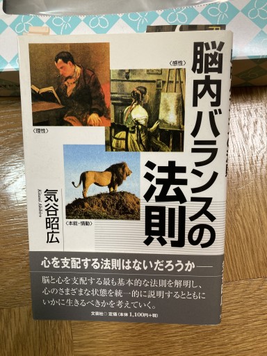 脳内バランスの法則
