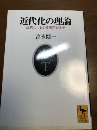 近代化の理論: 近代化における西洋と東洋（講談社学術文庫 1212）