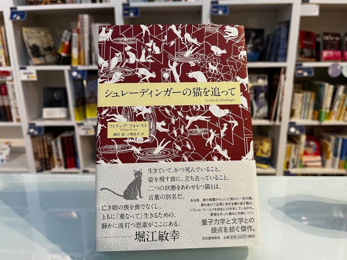 シュレーディンガーの猫を追って