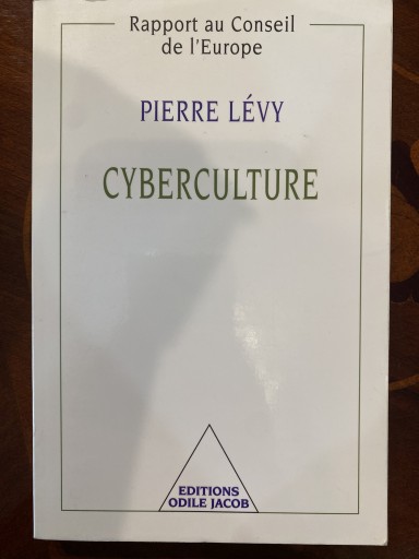 Cyberculture