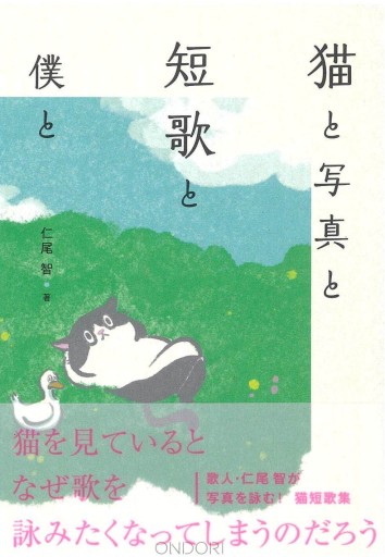猫と写真と短歌と僕と