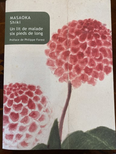 Un Lit De Malade Six Pieds De Long（Collection Japon）