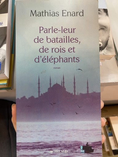 Parle Leur De Batailles De Rois Et Elephants