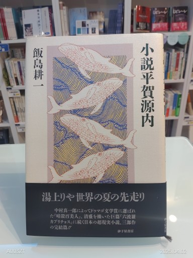 小説平賀源内