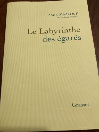 Le labyrinthe des égarés: L'Occident et ses adversaires