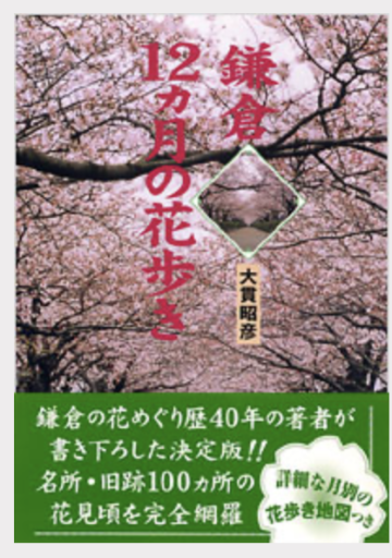 鎌倉12カ月の花歩き