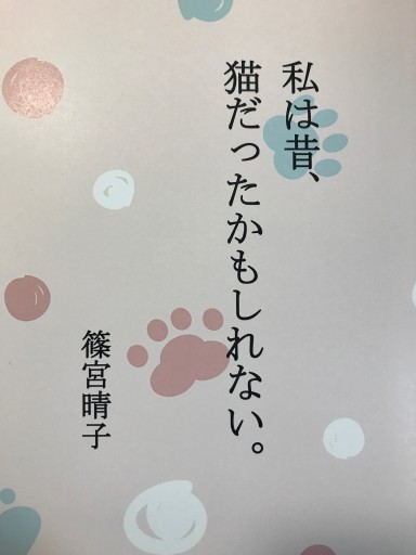 私は昔、猫だったかもしれない