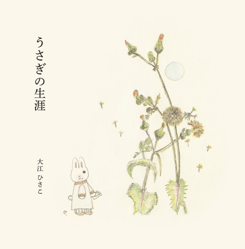 うさぎの生涯