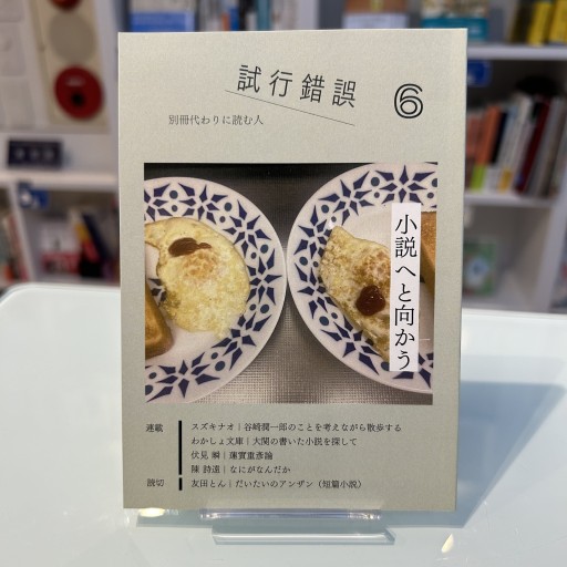 試行錯誤6（小説へと向かう）