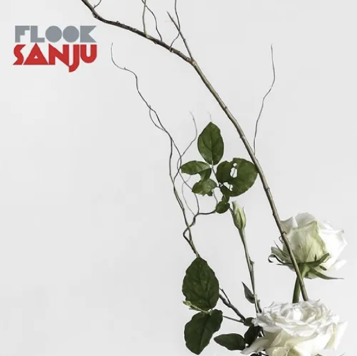 FLOOK  SANJU