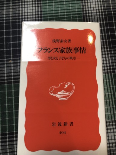 フランス家族事情: 男と女と子どもの風景（岩波新書 新赤版 404）