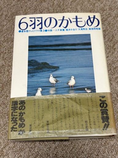 6羽のかもめ