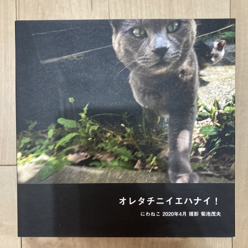オレタチニイエハナイ！にわねこ 2020年4月 撮影菊池茂夫