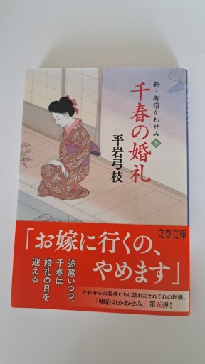 新・御宿かわせみ（千春の婚礼）