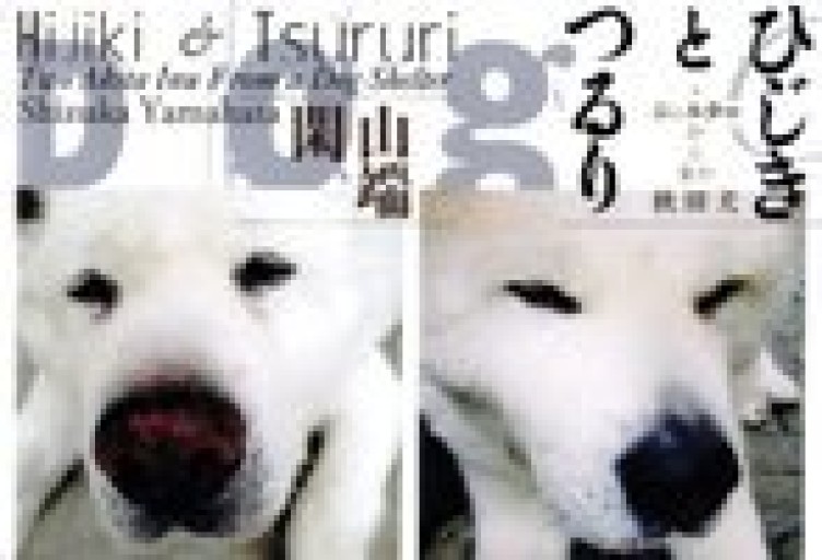 ひじきとつるり: シェルターから来た秋田犬