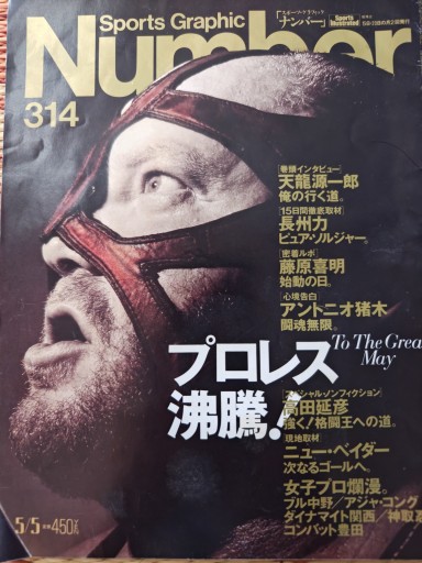 スポーツグラフィックNumber314