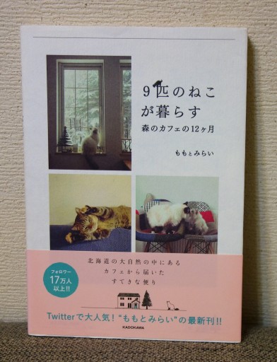 9匹の猫が暮らす 森のカフェの12ヵ月