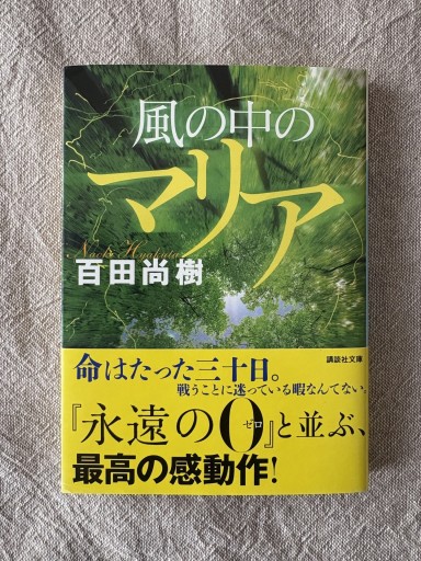風の中のマリア（講談社文庫 ひ 43-3）