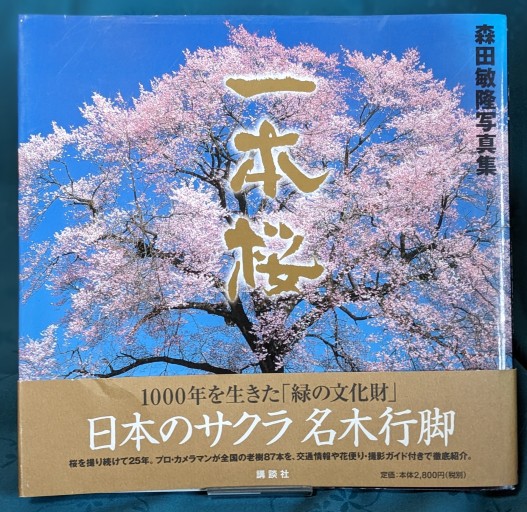 一本桜: 森田敏隆写真集