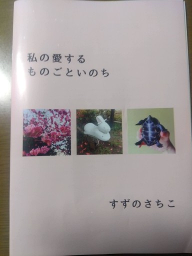すずのさちこ『私の愛するものごといのち』