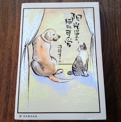 阳光温柔，猫狗可爱