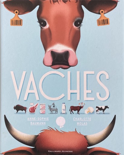 Vaches