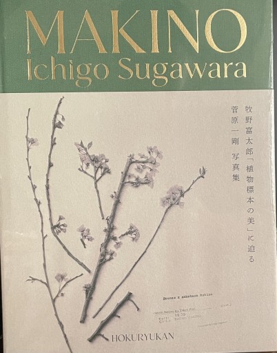 菅原一剛写真集「MAKINO植物の肖像」
