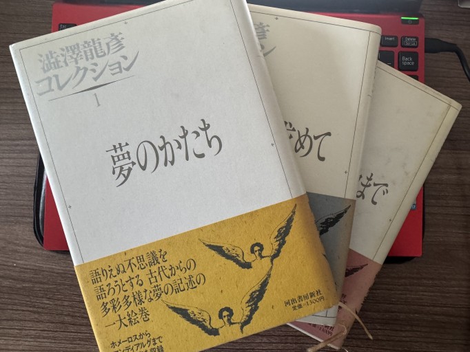 澁澤初彦コレクション(全3巻)