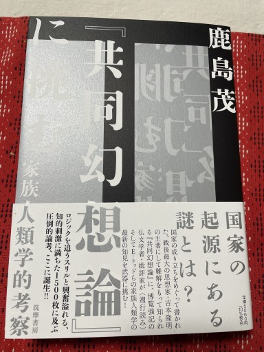 『共同幻想論』に挑む ――家族人類学的考察（単行本）