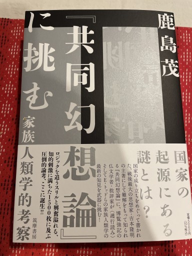 『共同幻想論』に挑む ――家族人類学的考察（単行本）