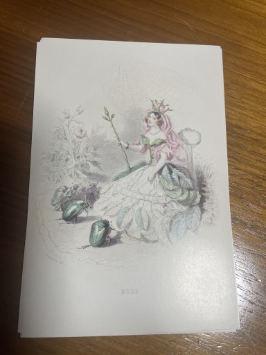 Grandville   ROSE