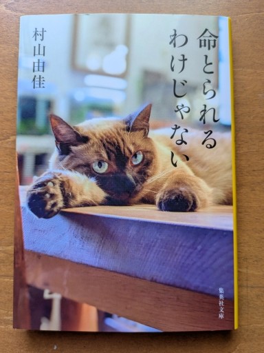命とられるわけじゃない