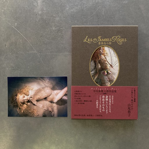 【写真付7】『薔薇色の脚』中川多理人形作品集