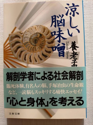 涼しい脳味噌