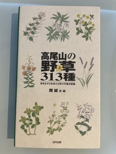 高尾山の野草313種