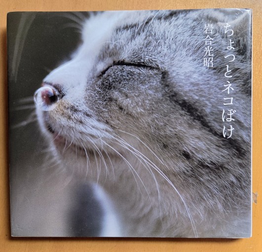 ちょっとネコぼけ