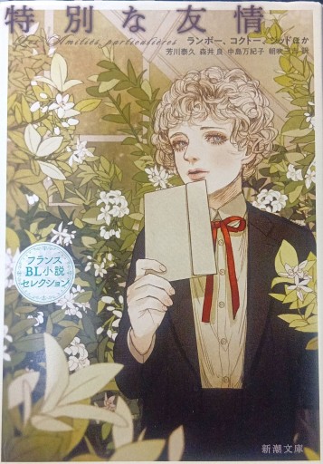 特別な友情 フランスBL小説セレクション