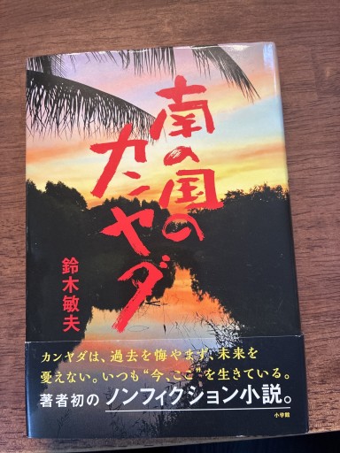 南の国のカンヤダ - ぽんこつBOOKS