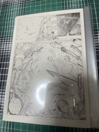 LB 5748  アワドロメダ