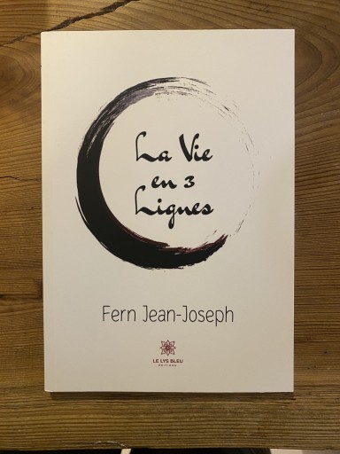 La Vie en 3 Lignes