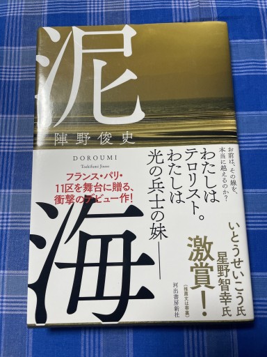 泥海