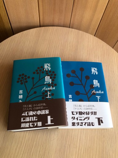 飛鳥上下巻セット