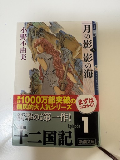 月の影 影の海（上） 十二国記 1（新潮文庫）