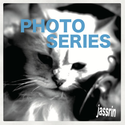 PHOTO SERIES