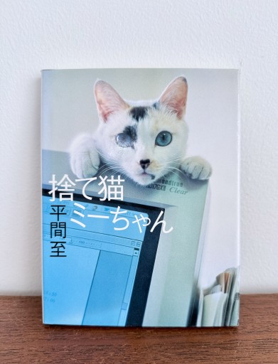 捨て猫ミーちゃん - UMA Books