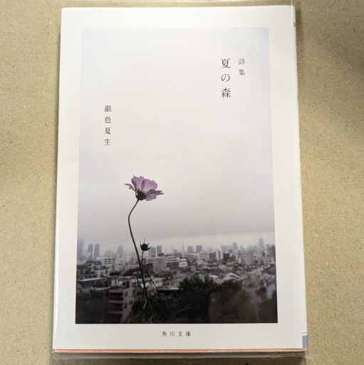 詩集 夏の森(角川文庫)