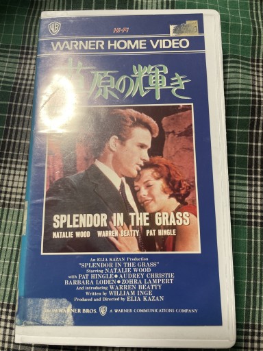 草原の輝き VHS