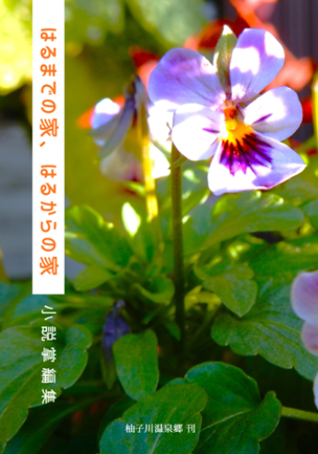 【小説掌編集】はるまでの家、はるからの家