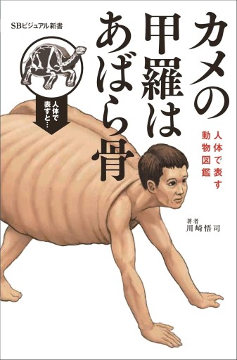 カメの甲羅はあばら骨 ~人体で表す動物図鑑~（SBビジュアル新書）