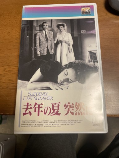 去年の夏 突然に VHS